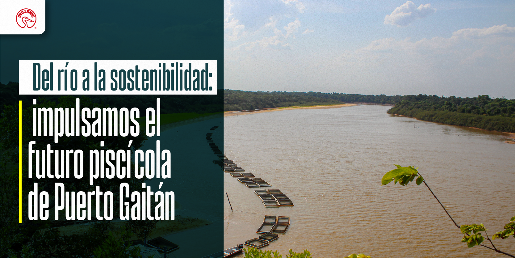 Alianza académica fortalece el desarrollo piscícola en Puerto Gaitán