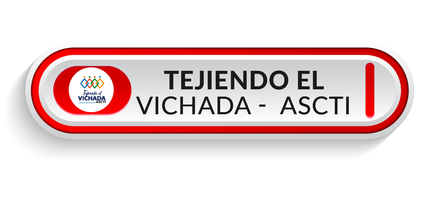 PROYECTO TEJIENDO VICHADA